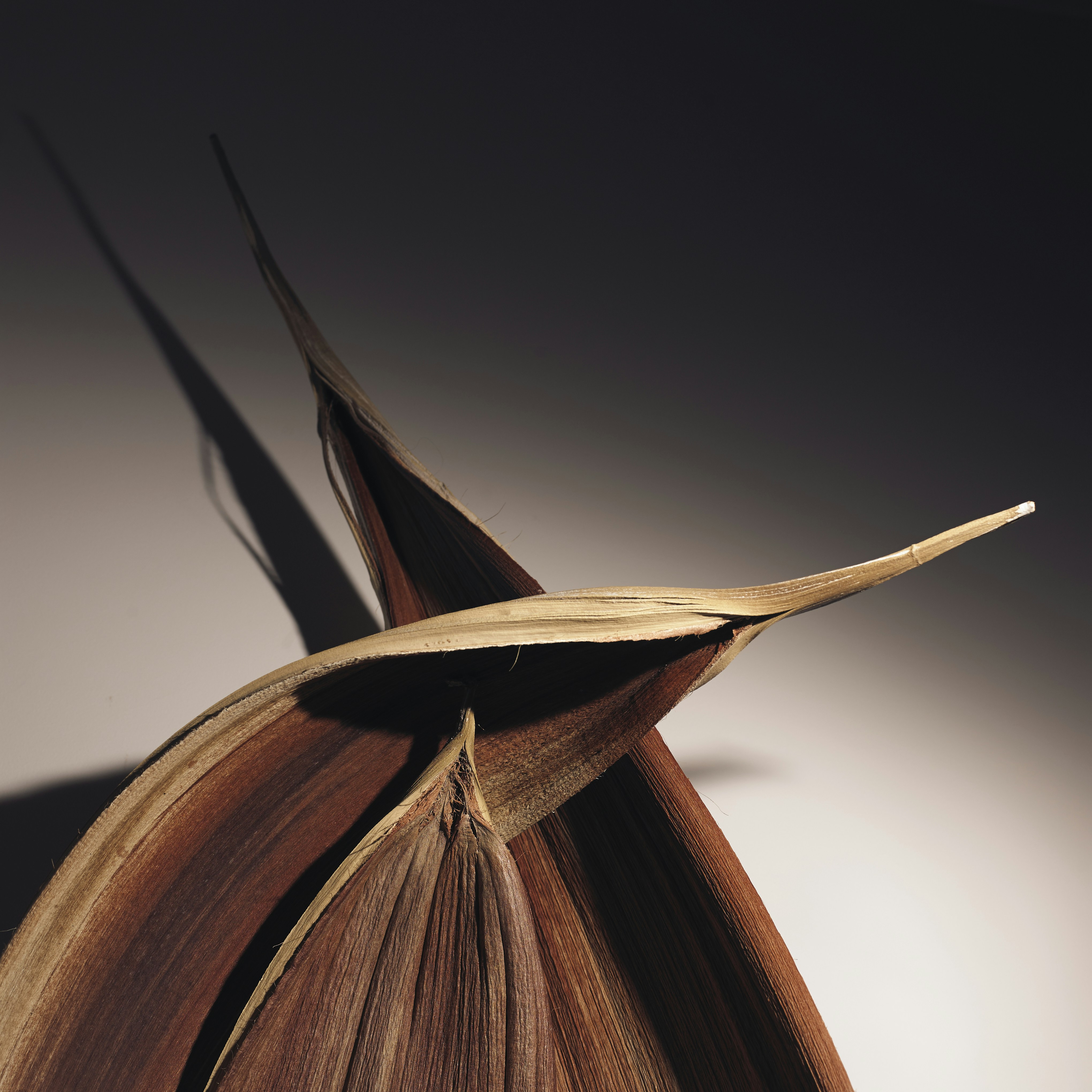 Free Unsplash photo from Paulo Rodrigues