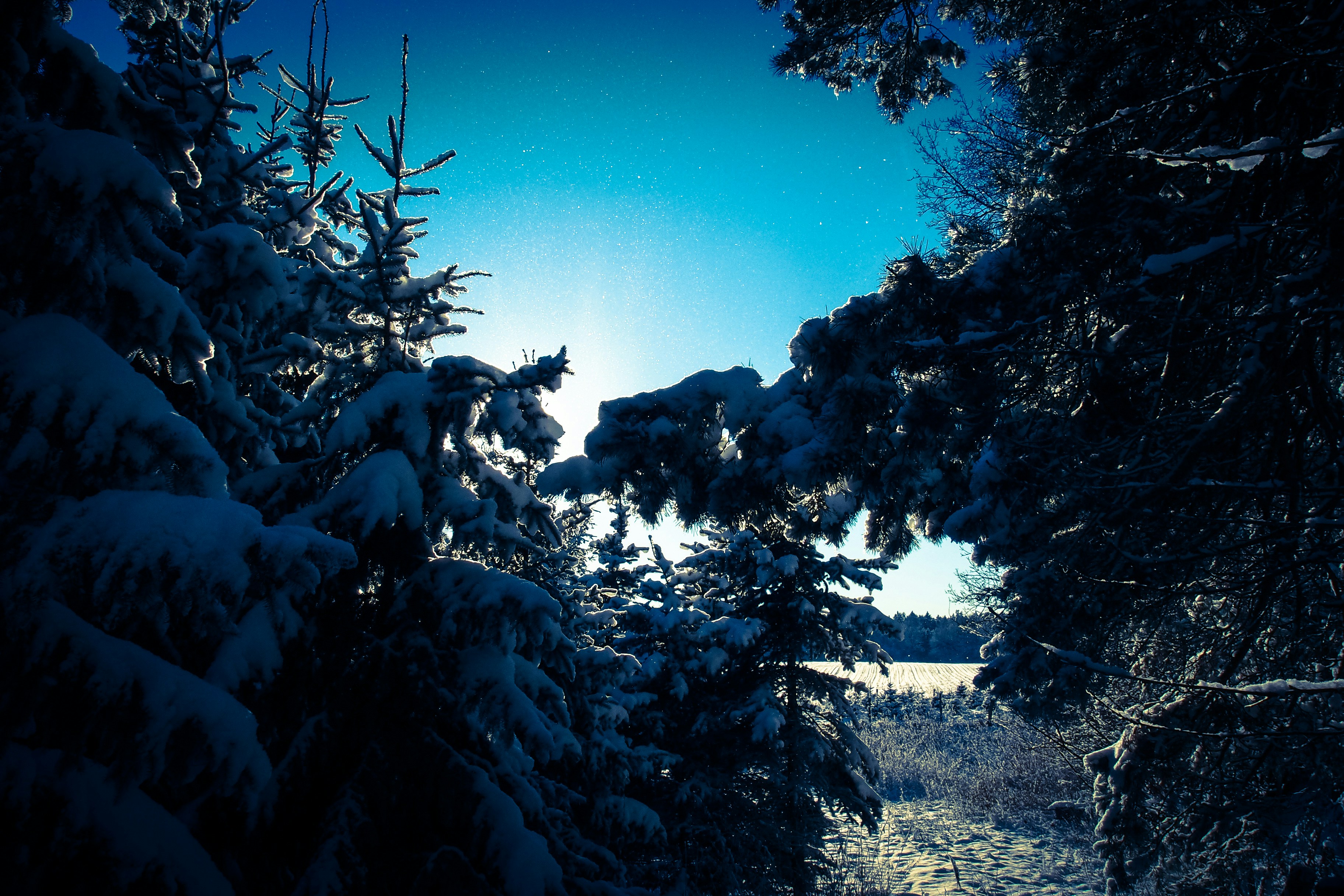 Free Unsplash photo from Thomas Breher