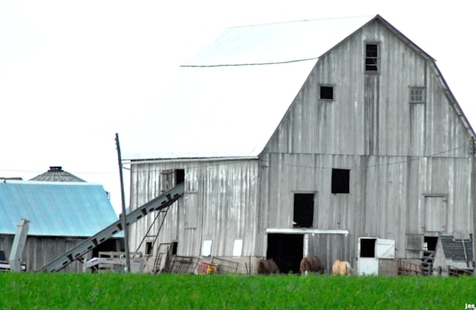 A large, rustic wooden barn with a weathered appearance stands prominently. It has several small, square windows and a large, open doorway at the base. In front of the barn, several horses are grazing on green grass. Adjacent to the barn, a structure with a blue roof and a conical grain silo can be seen.