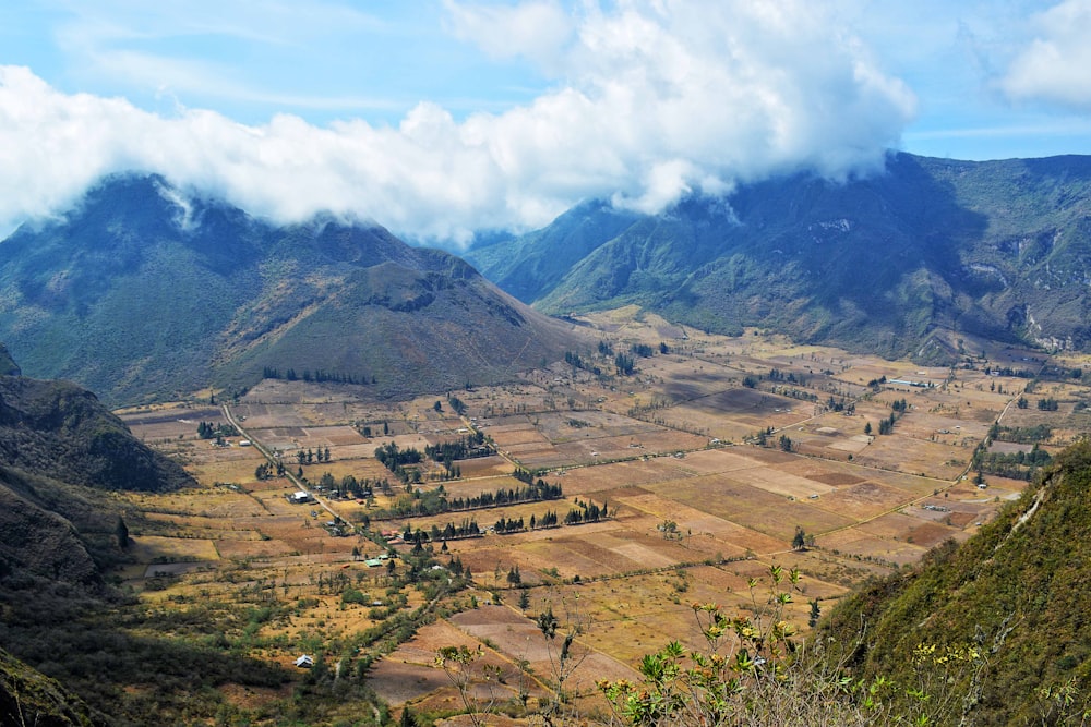 aerial view of mountains with green trees