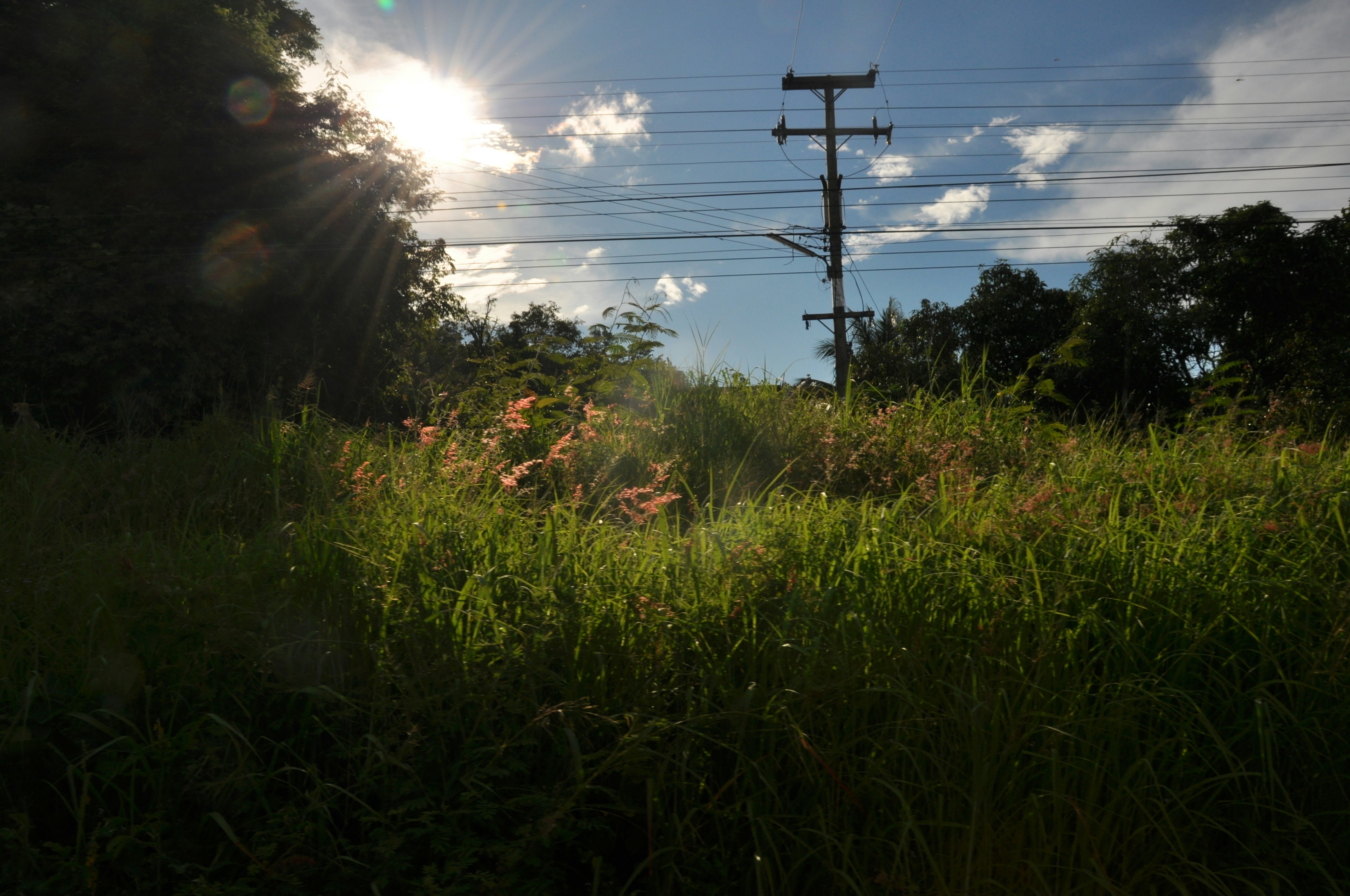 Free Unsplash photo from Pithawat Panyo