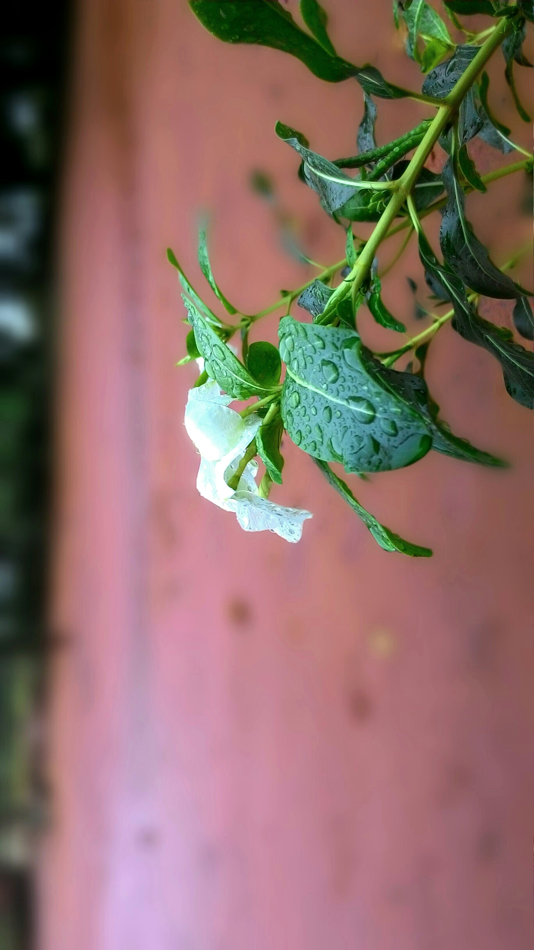 Free Unsplash photo from Gustavo Alves