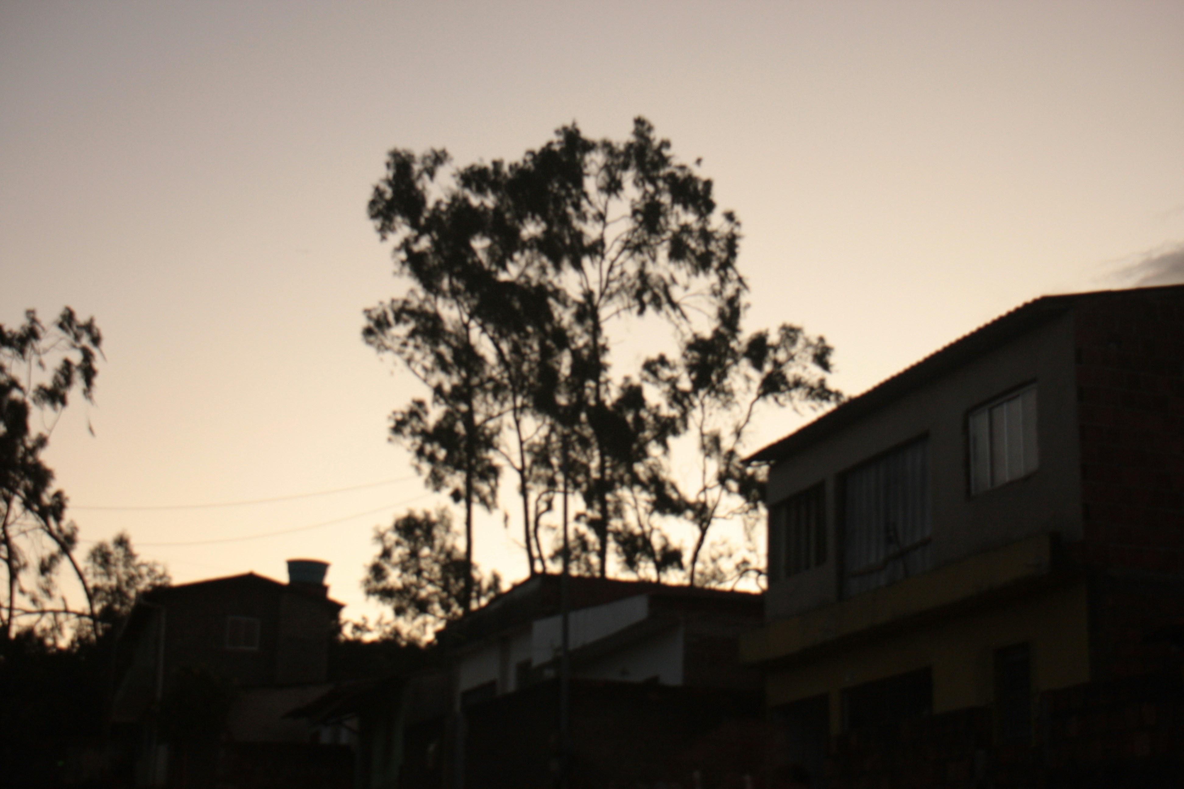 Free Unsplash photo from Lamartyne Carias