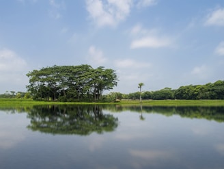 A serene image depicting a balanced lifestyle with nature.