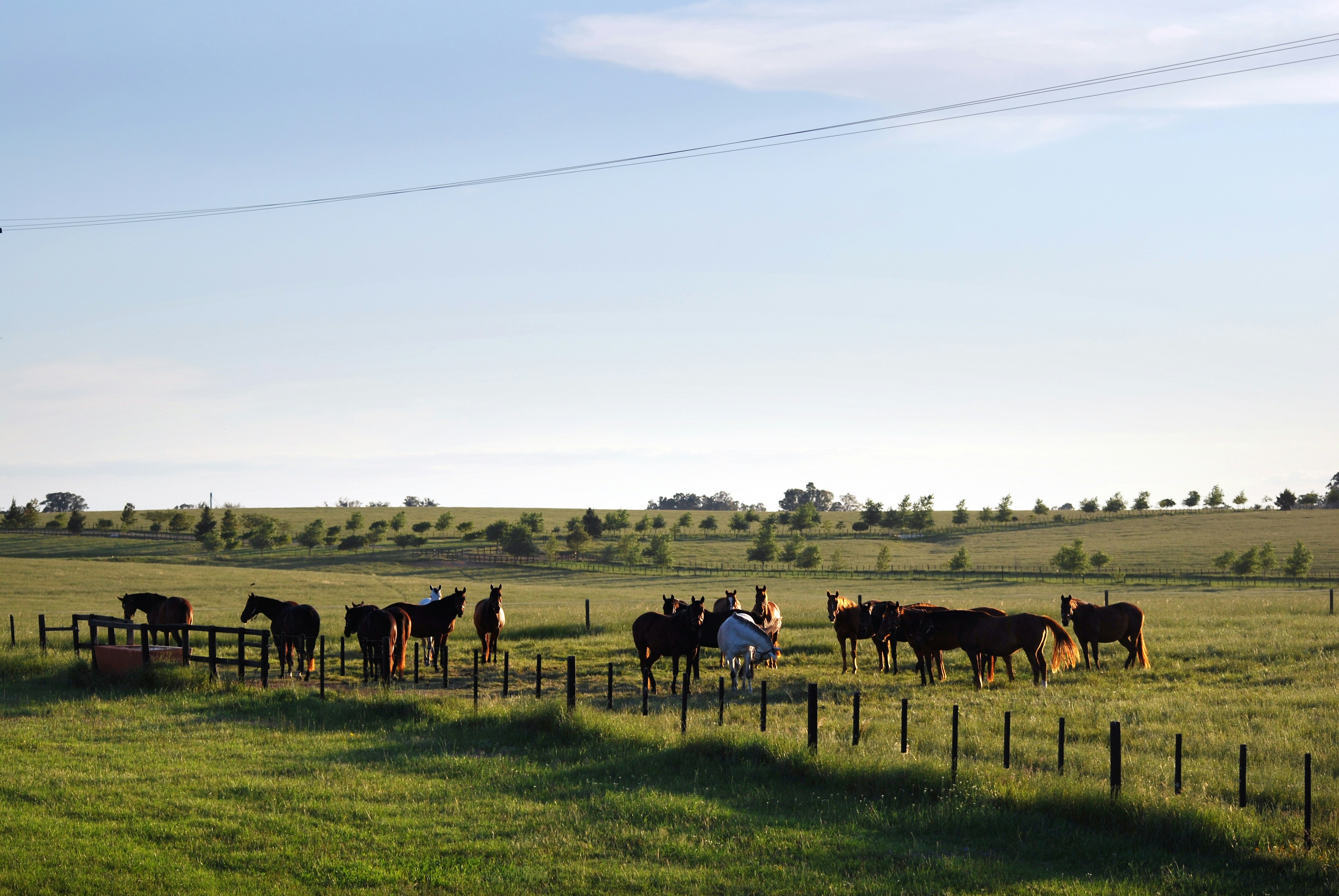 Free Unsplash photo from Luciano Ribas