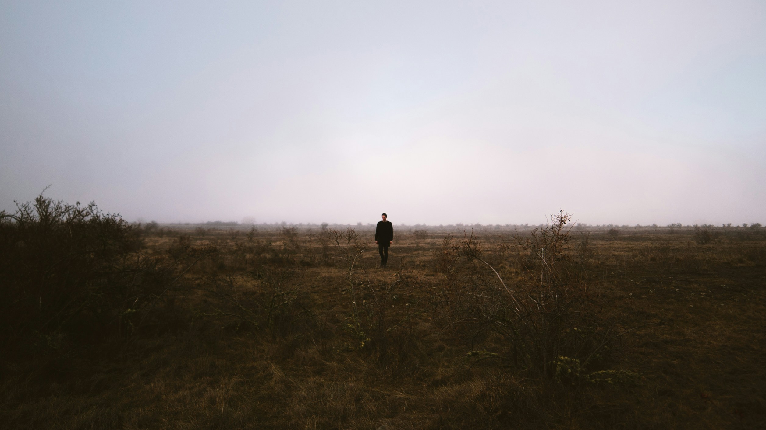 Free Unsplash photo from Adam Zvanovec