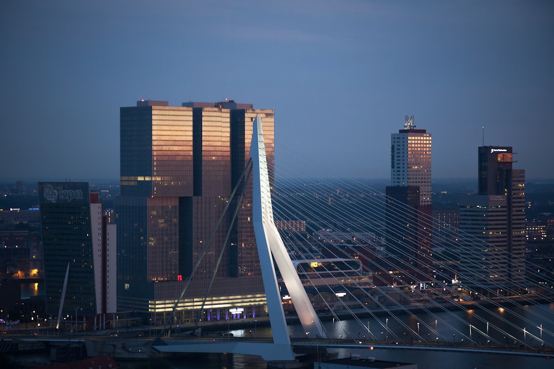 white full-suspension bridge near curtain wall buildings at night time