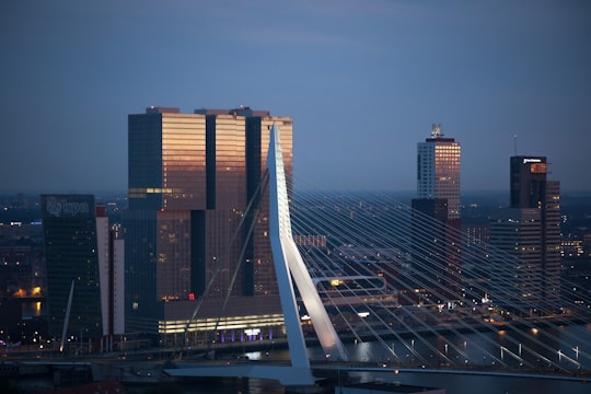 white full-suspension bridge near curtain wall buildings at night time in Rotterdam Netherlands