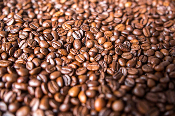 Export ready coffee quality