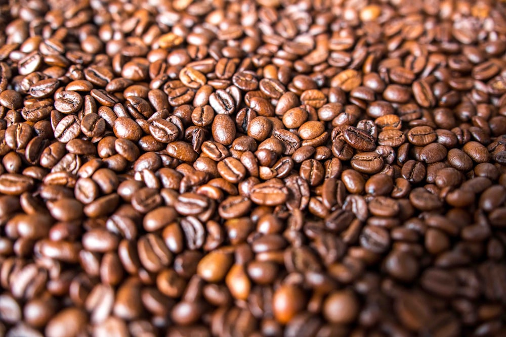 manojo de granos de café