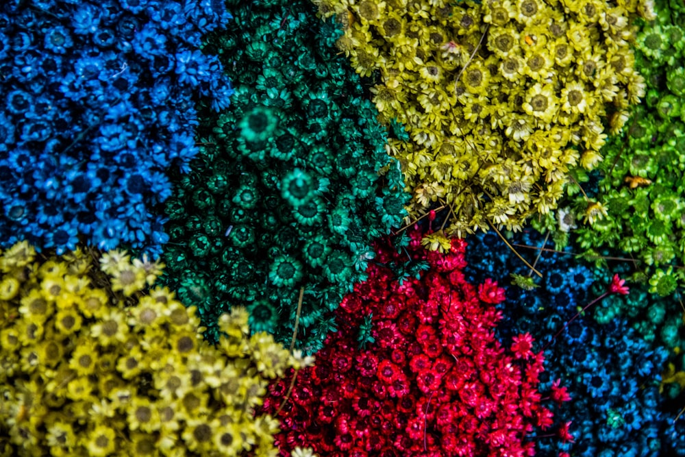 다양한 색상의 꽃이 만발한 공중 촬영
