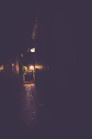 A shadowy alley illuminated by a single flickering streetlight at night.