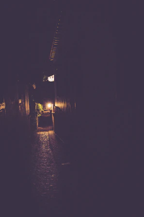 A shadowy alley illuminated by a single flickering streetlight at night.