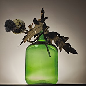 A green glass bottle holds a dried plant with leaves and a textured pod-like structure with a dark furry top. The background is a plain light color, and the lighting casts a soft shadow of the composition.