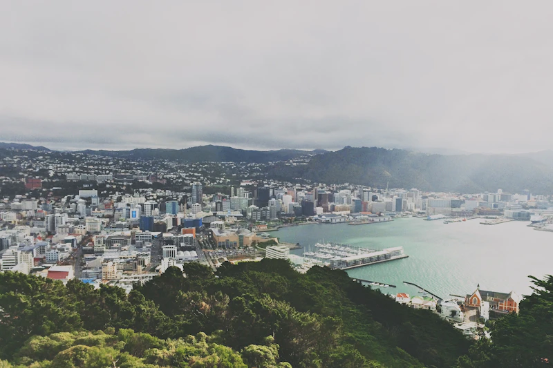 Most Historic Pubs in Wellington With Real Character and Good Stories