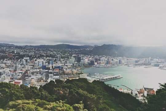 aerial photography of city beside body of water during daytime in Mount Victoria New Zealand