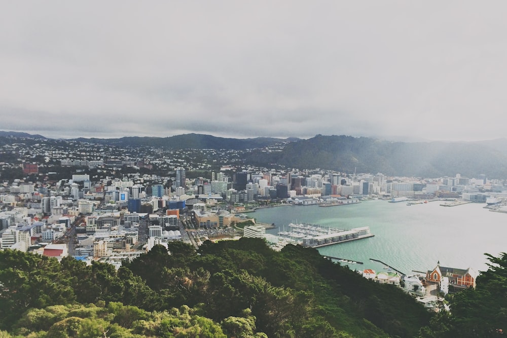 aerial photography of city beside body of water during daytime