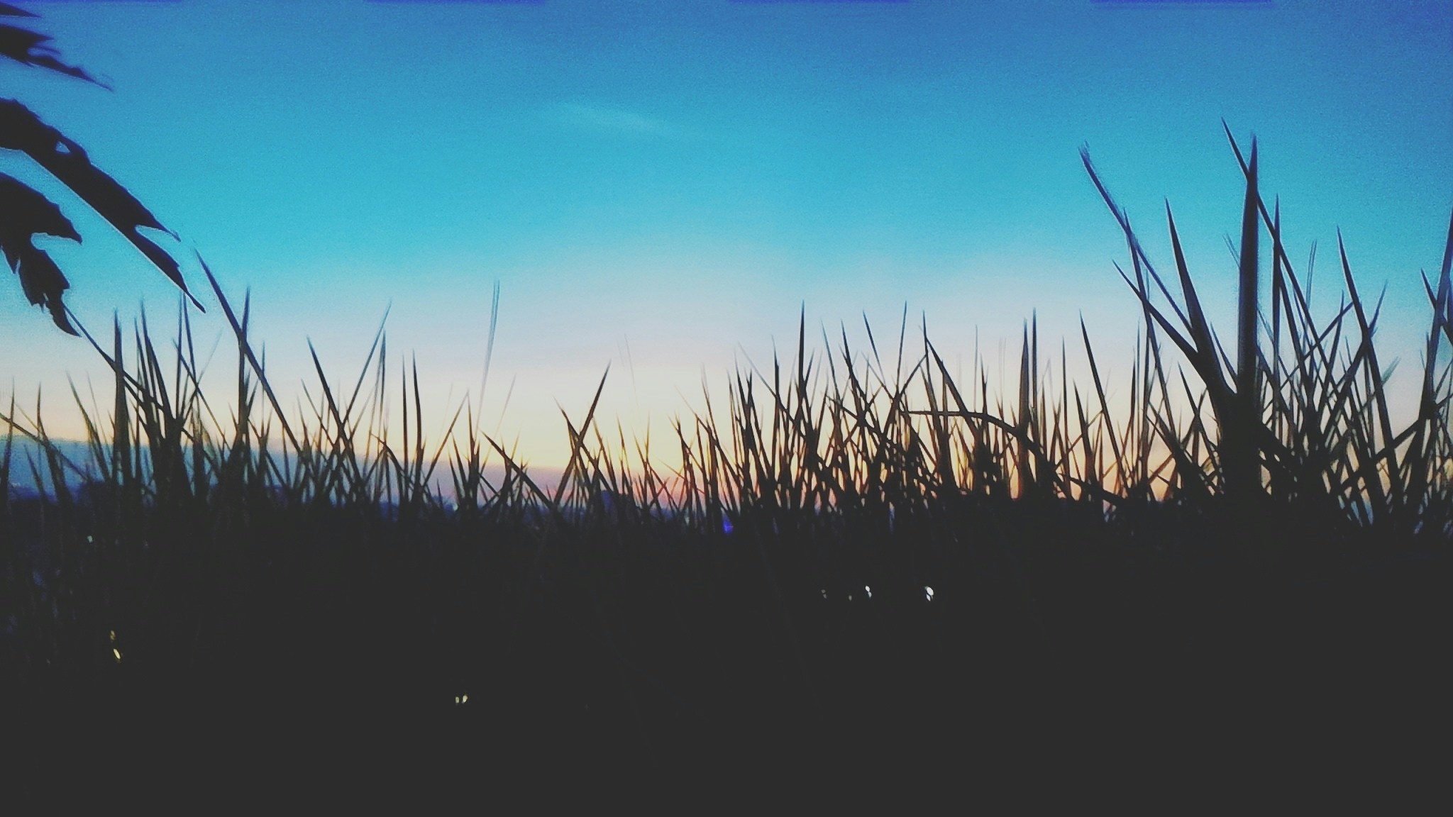 Free Unsplash photo from Iftesam Dhrubo