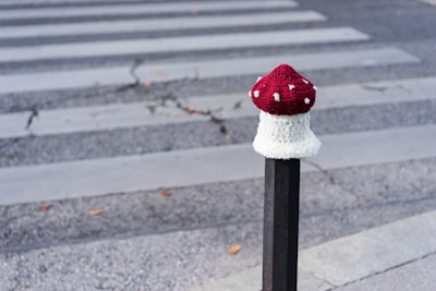 A knitted cap resembling a mushroom is placed on top of a metal post near a pedestrian crossing. The cap has a red top with white spots and a white stem, imitating the appearance of a toadstool mushroom. The background features a blurred view of the asphalt road and zebra crossing lines, with some fallen leaves scattered around.
