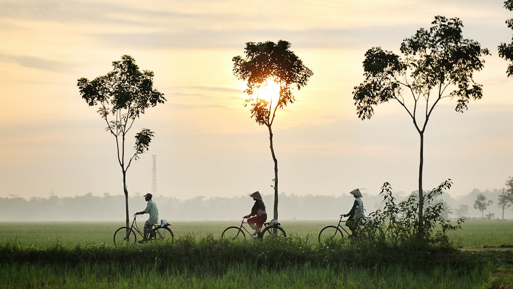 Drei Personen fahren Fahrrad auf grüner Wiese