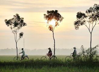 three person riding bikes on green grass field