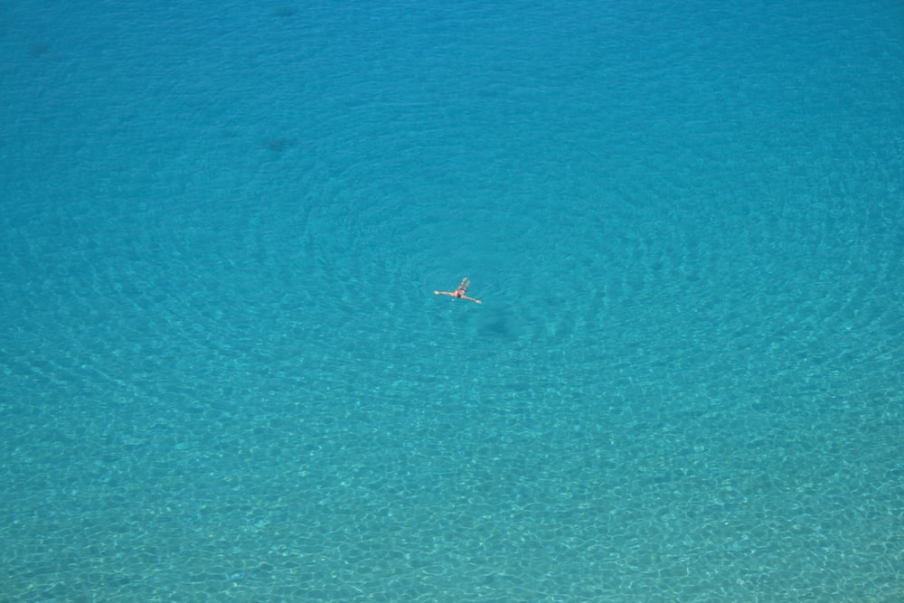 foto aerea di una persona che nuota sullo specchio d'acqua durante il giorno