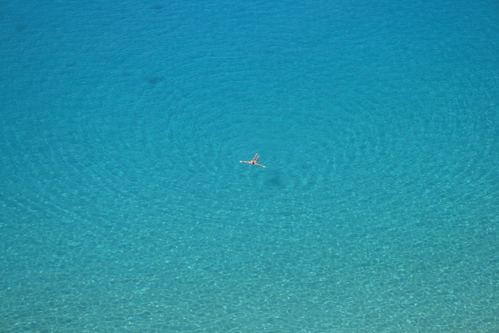 Foto aérea de una persona nadando en el cuerpo de agua durante el día