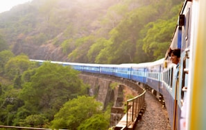 moving train near trees
