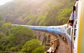 moving train near trees