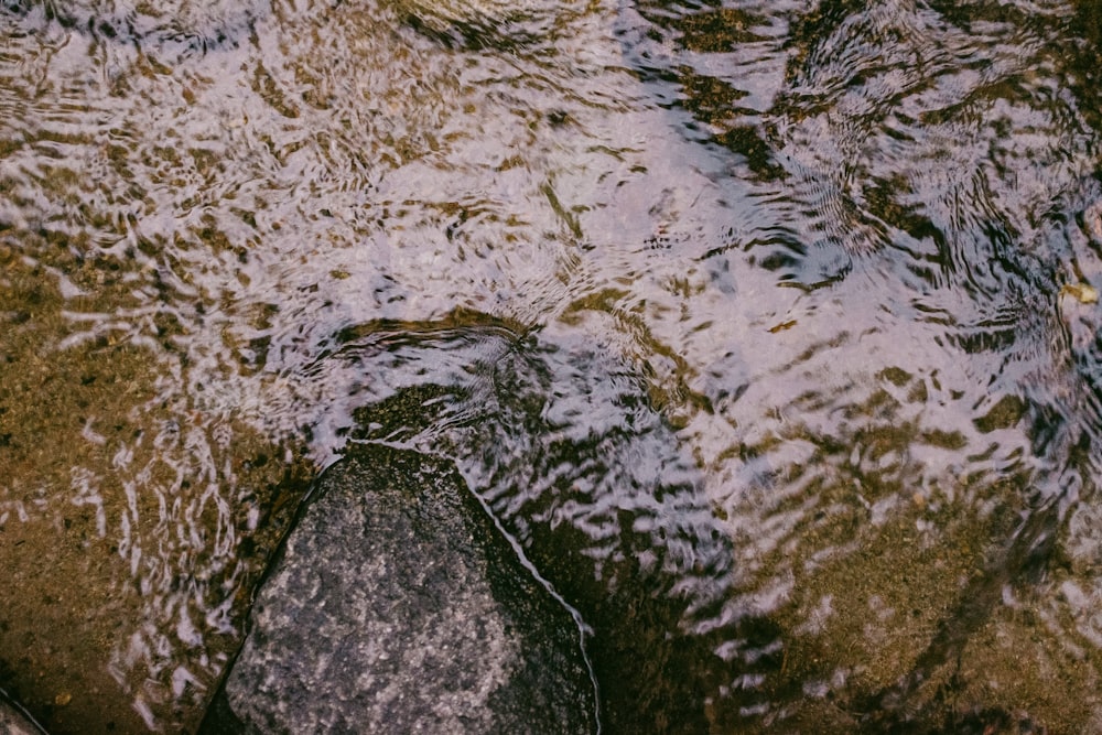 water on gray concrete floor