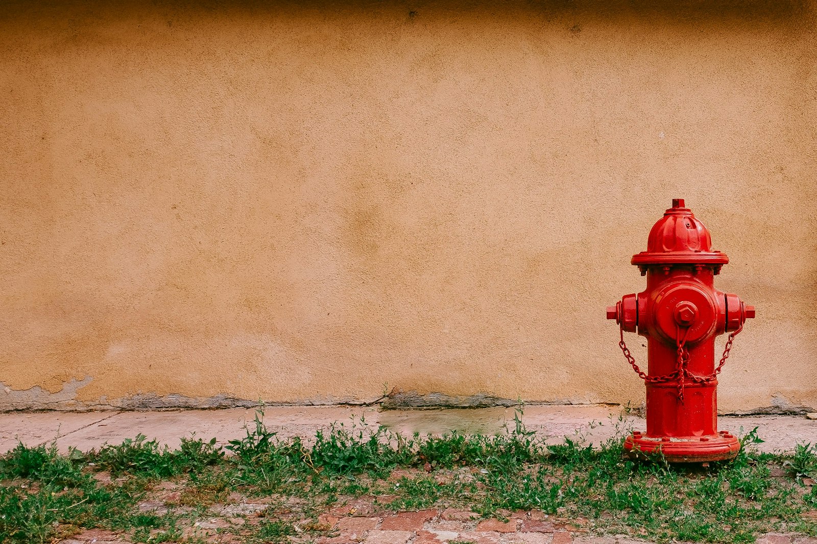 Fujifilm X100S sample photo. Fire hydrant near beige photography