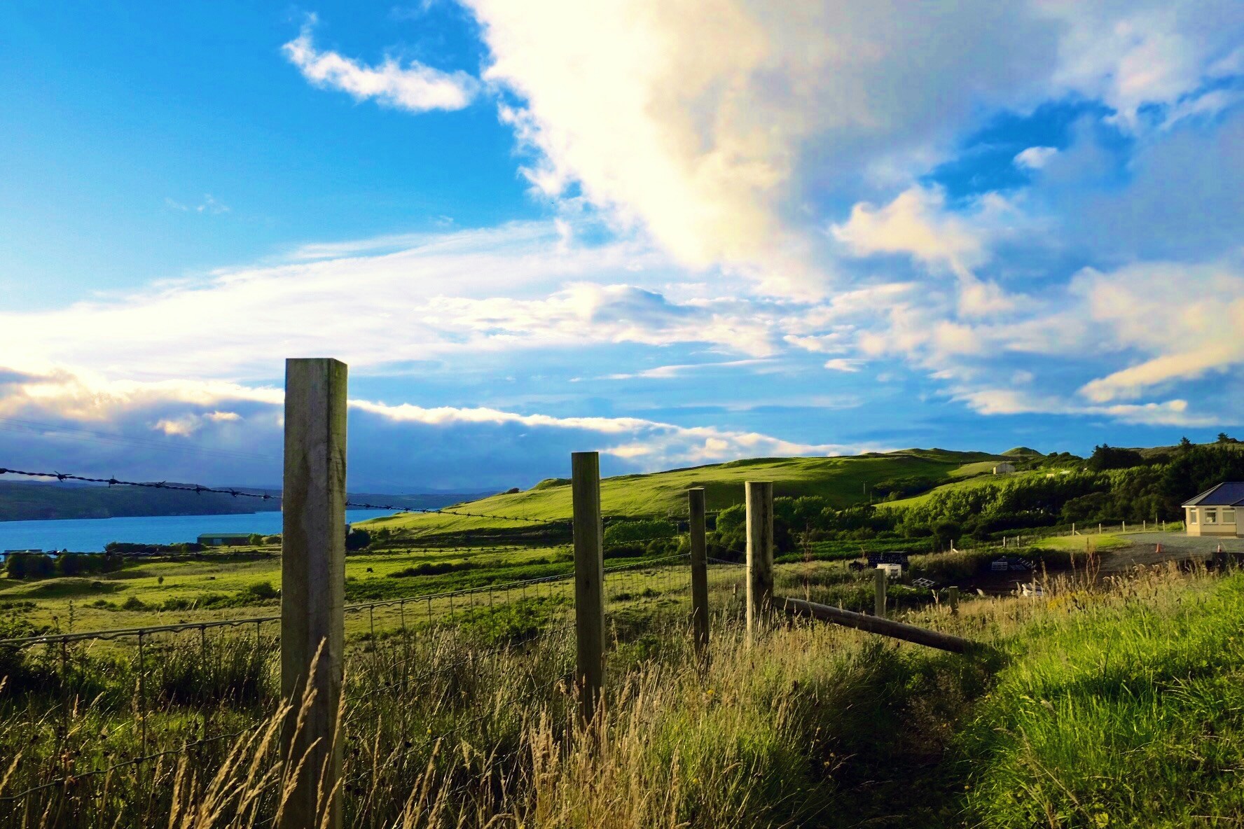 Free Unsplash photo from Erick Yang