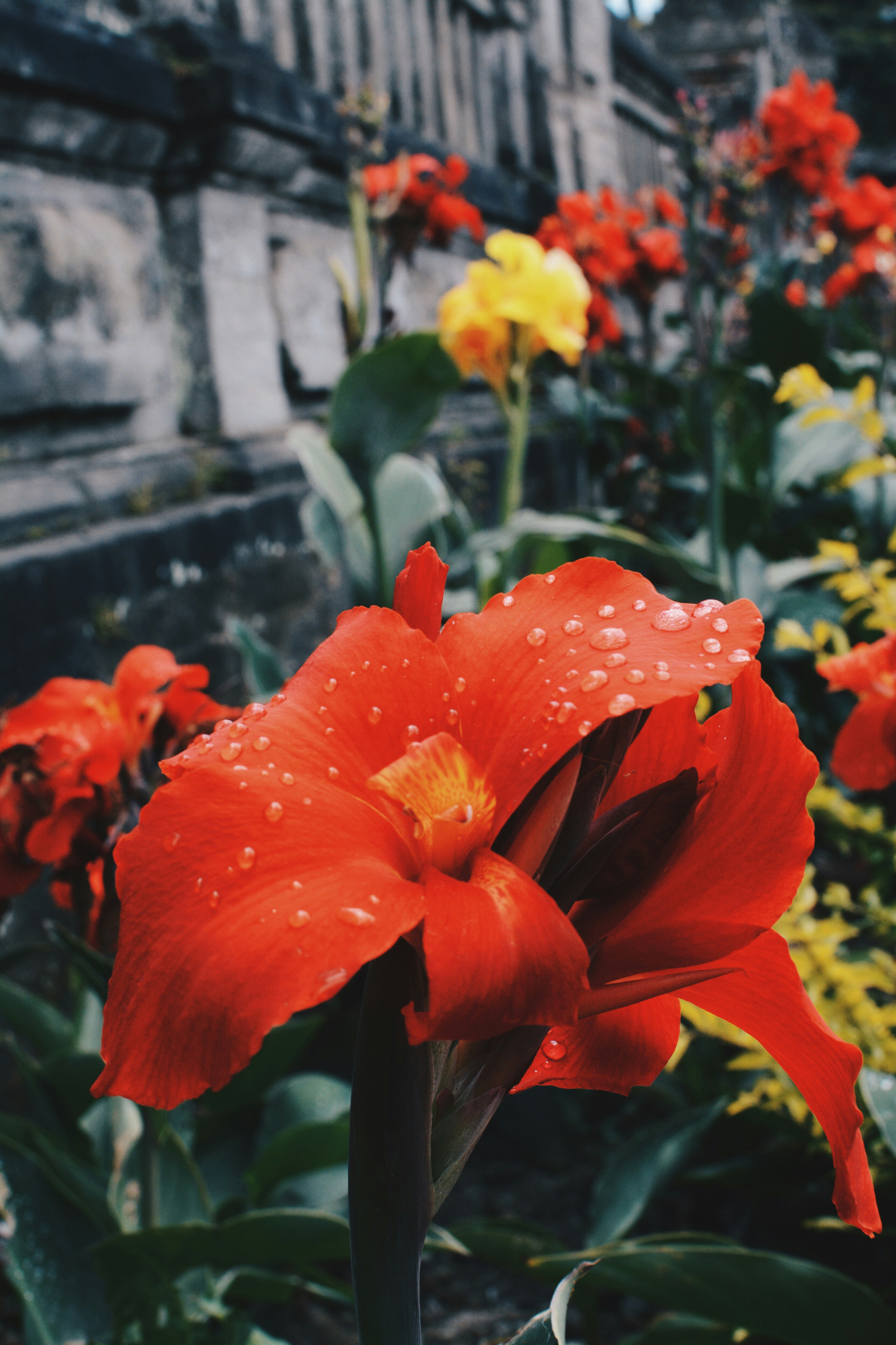 Free Unsplash photo from Daryl Elliott