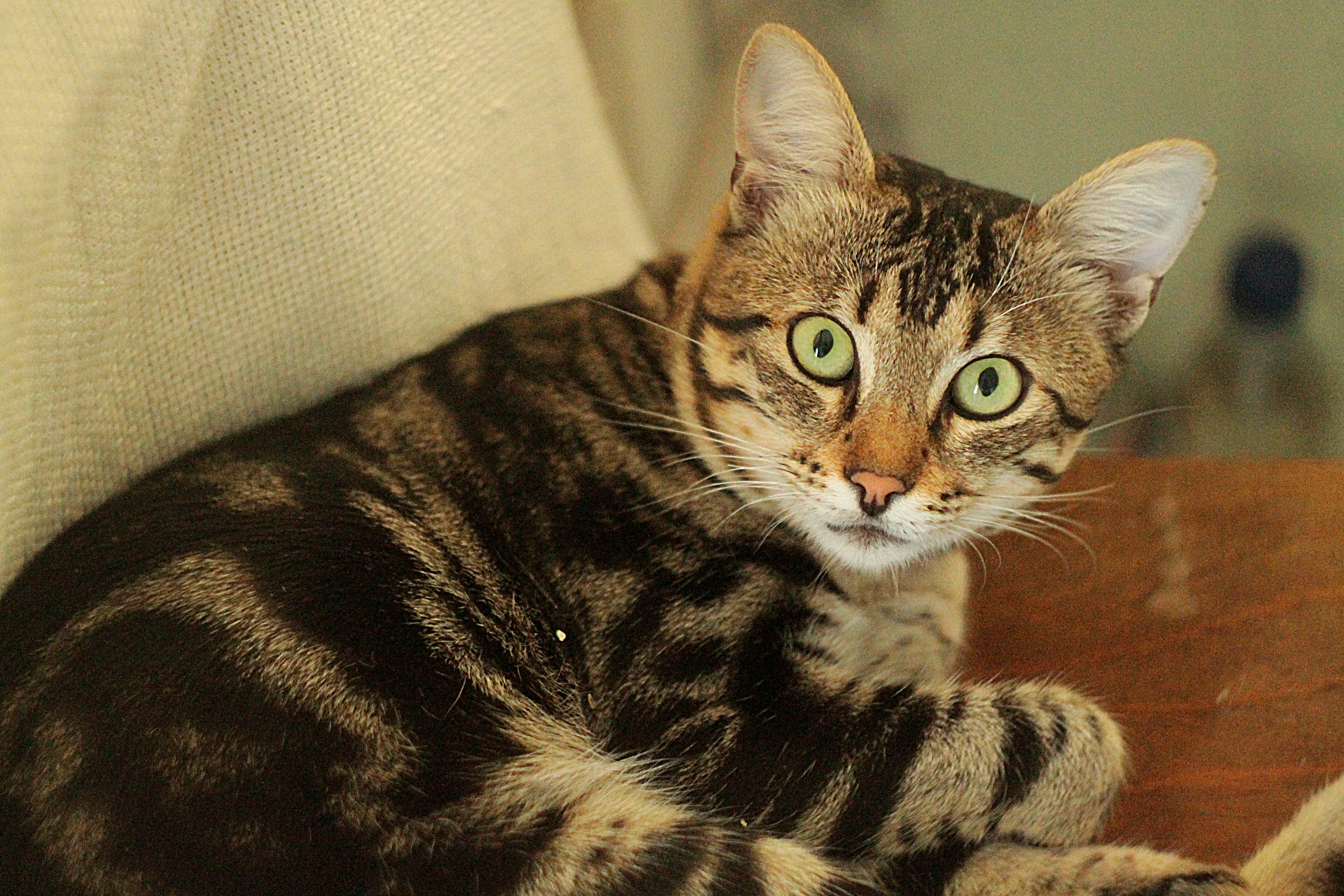 Free Unsplash photo from Roksolana Zasiadko