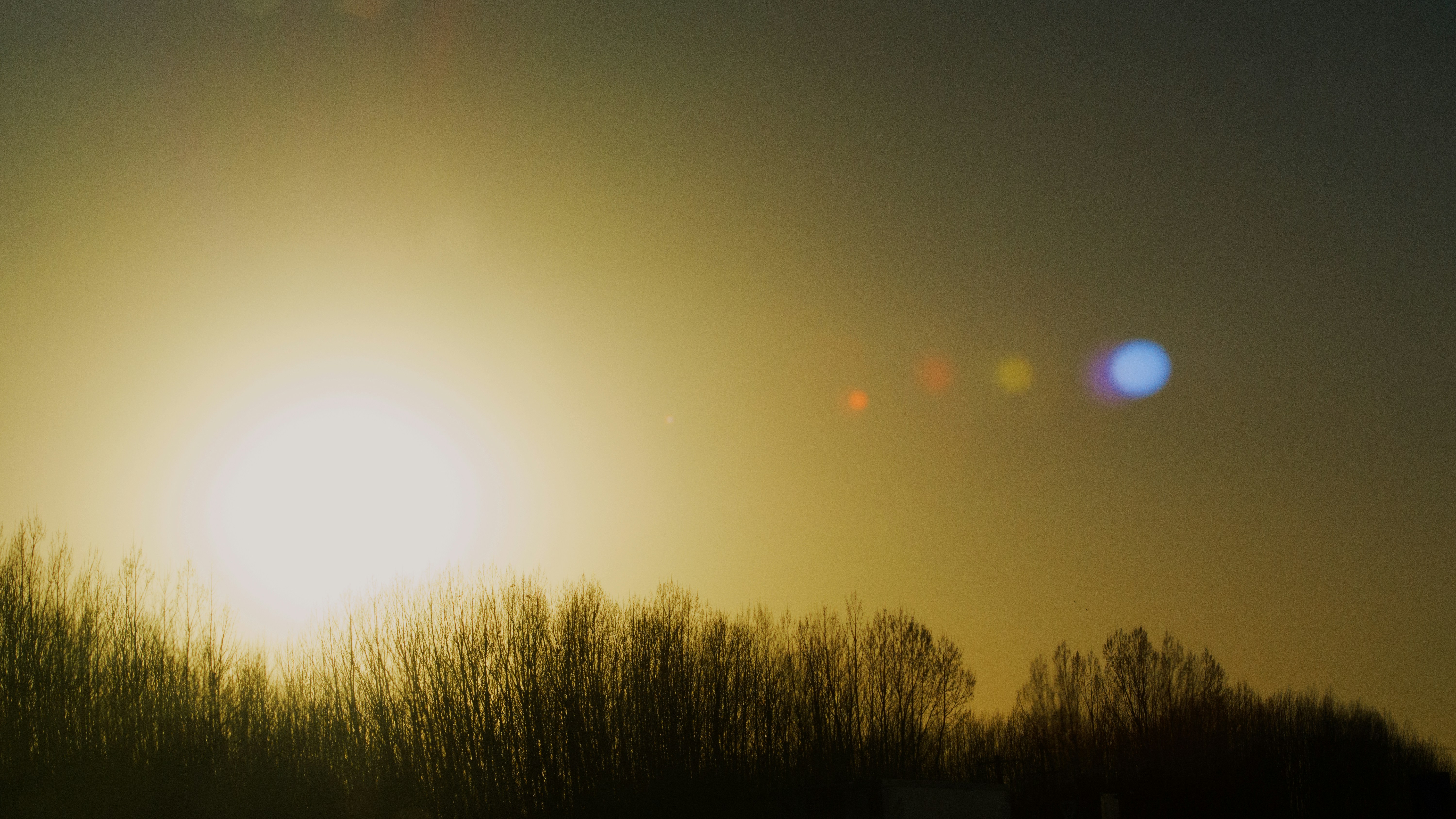 Free Unsplash photo from Pablo Soler