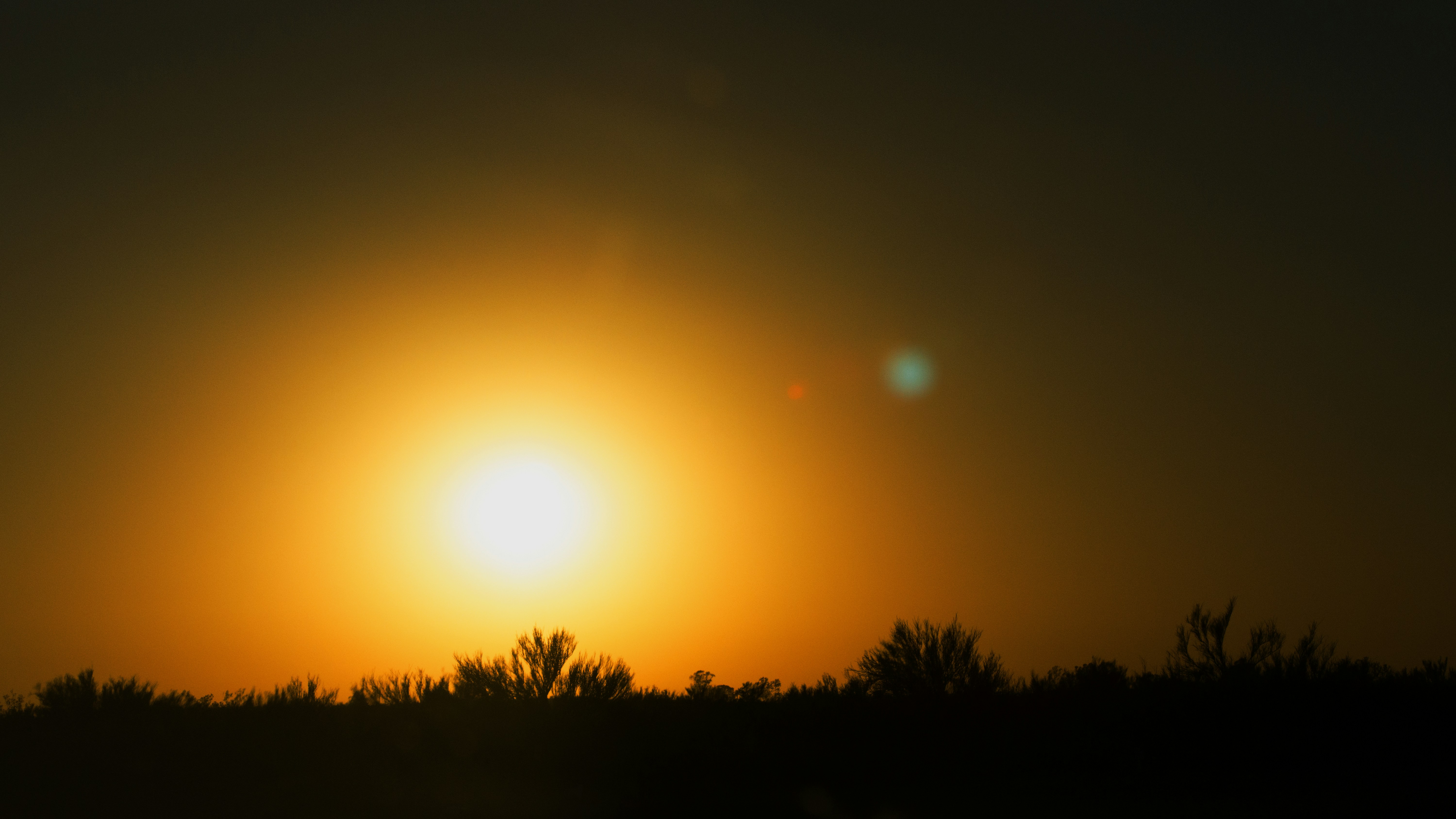 Free Unsplash photo from Pablo Soler