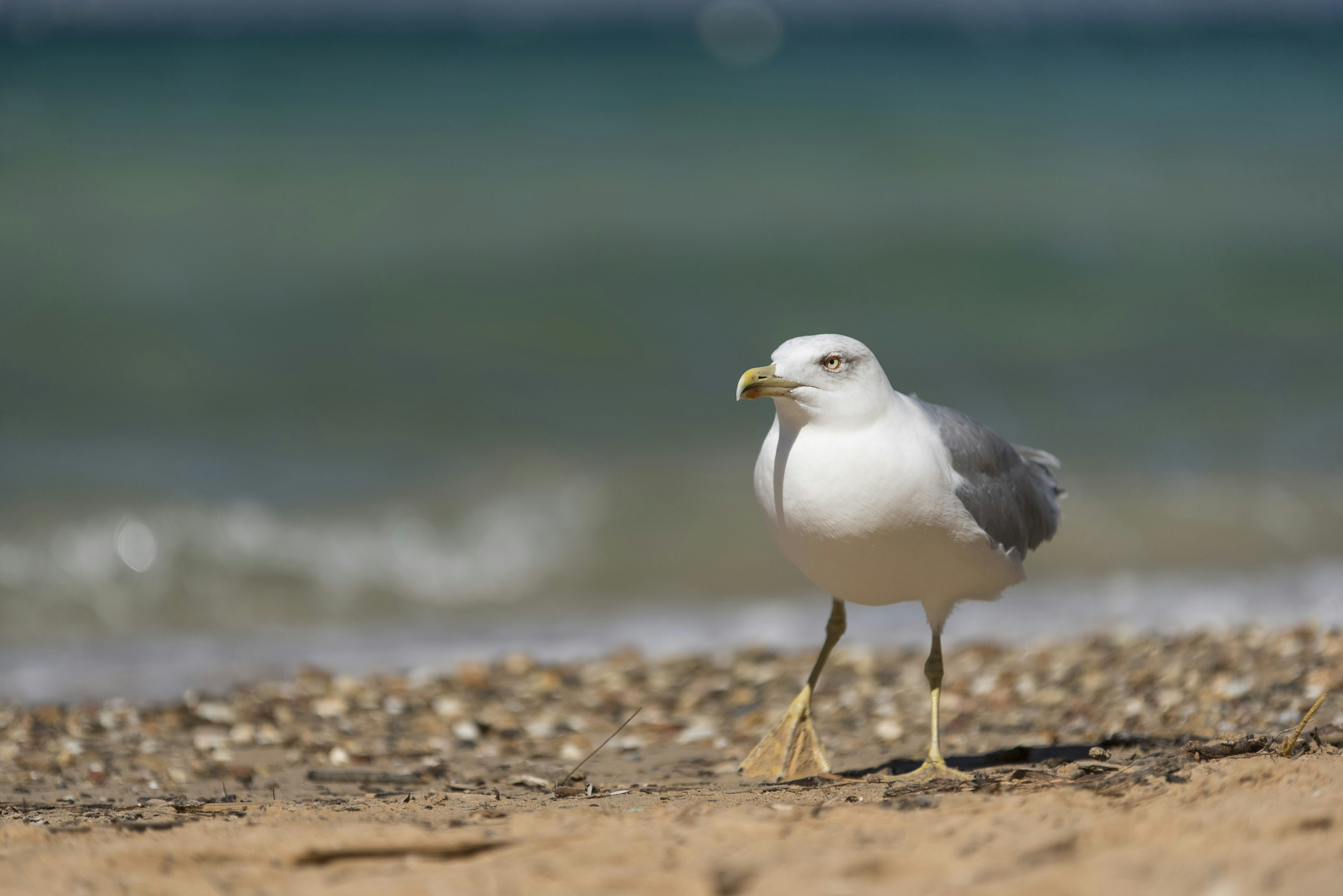 Free Unsplash photo from Guillaume de Germain