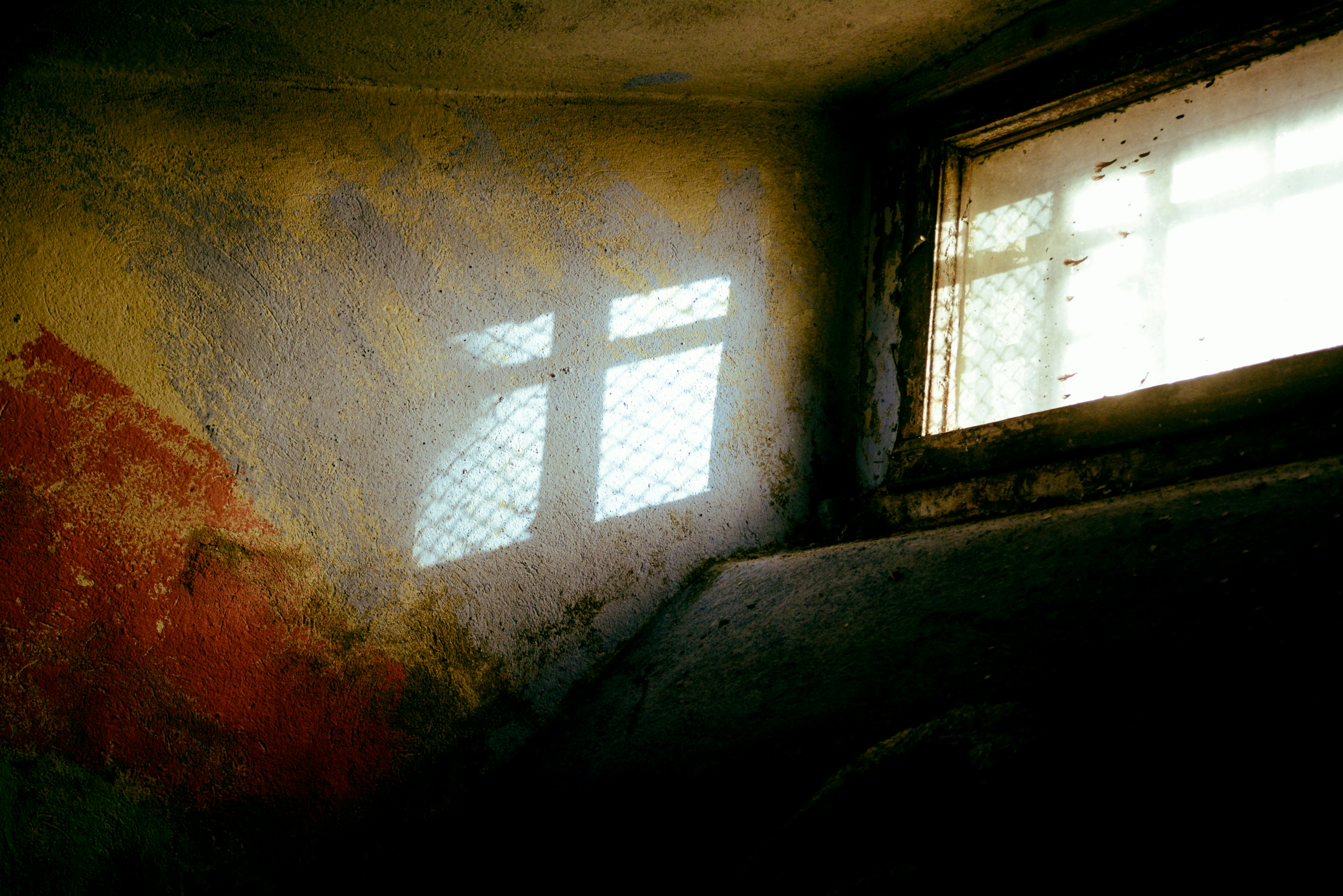 Free Unsplash photo from Margarita Batysheva