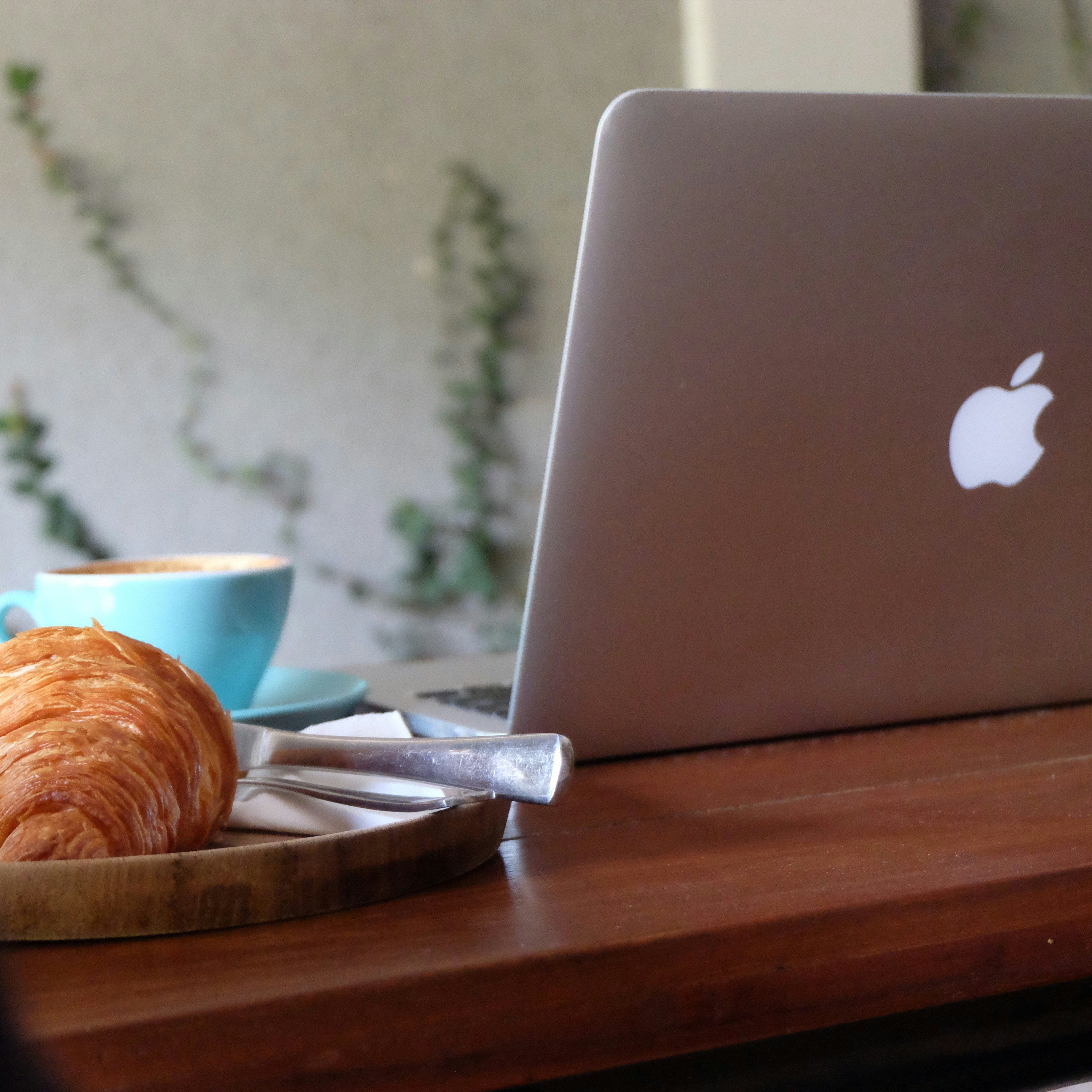 Free Unsplash photo from Yoel Peterson