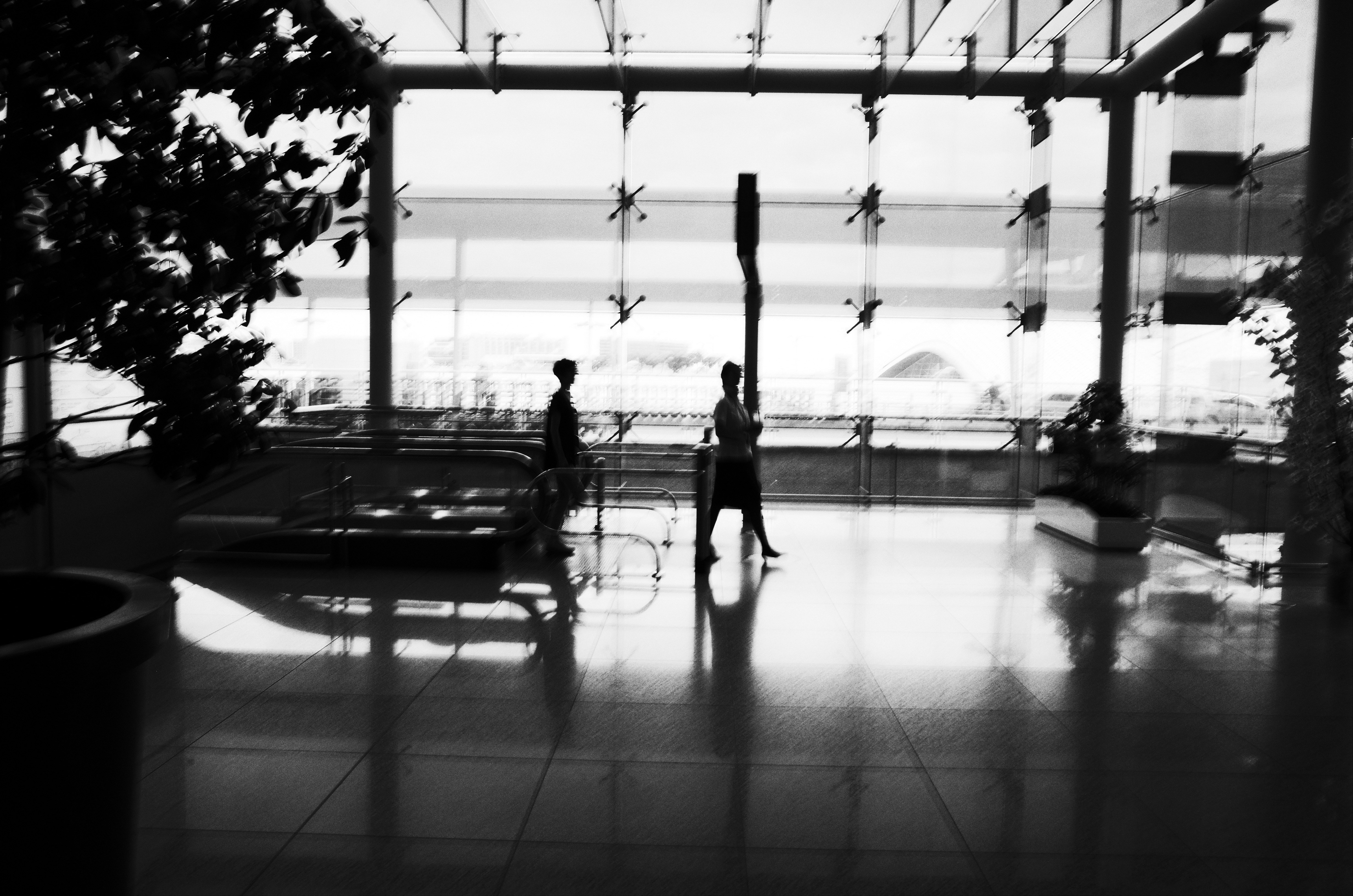 Free Unsplash photo from Sanghoon Ree