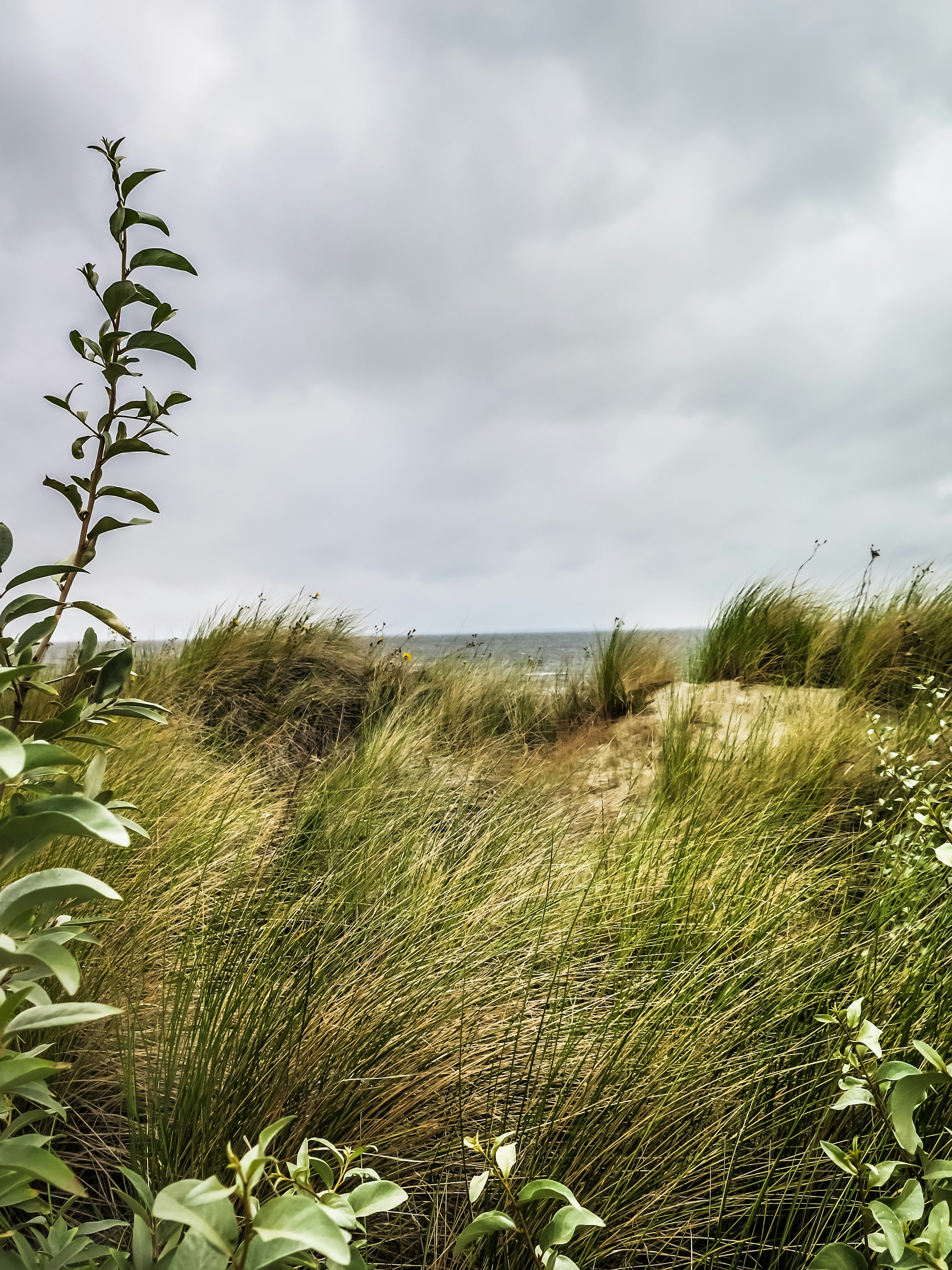 Free Unsplash photo from Hanna Bergblau