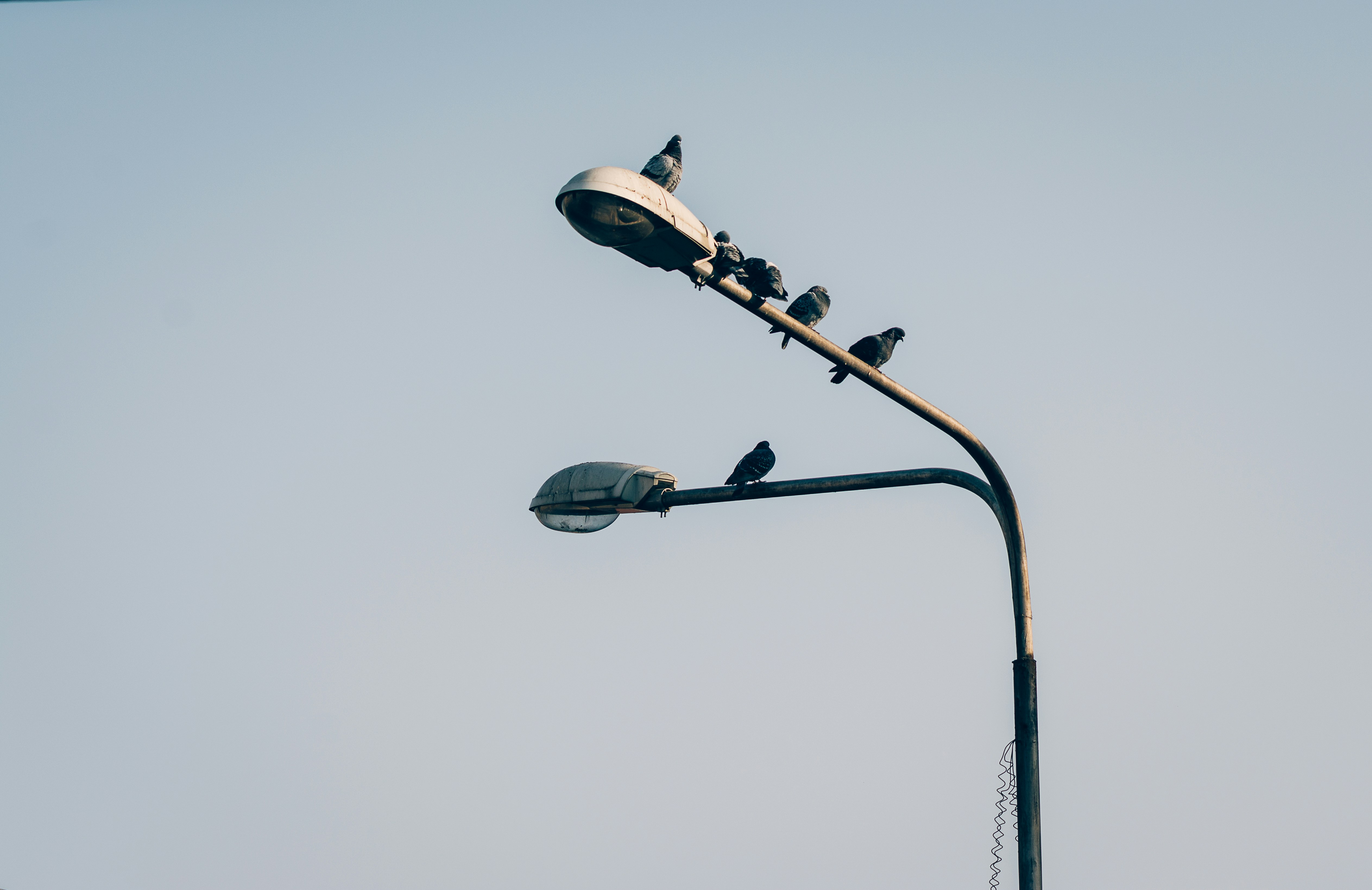 Free Unsplash photo from Buzac Marius