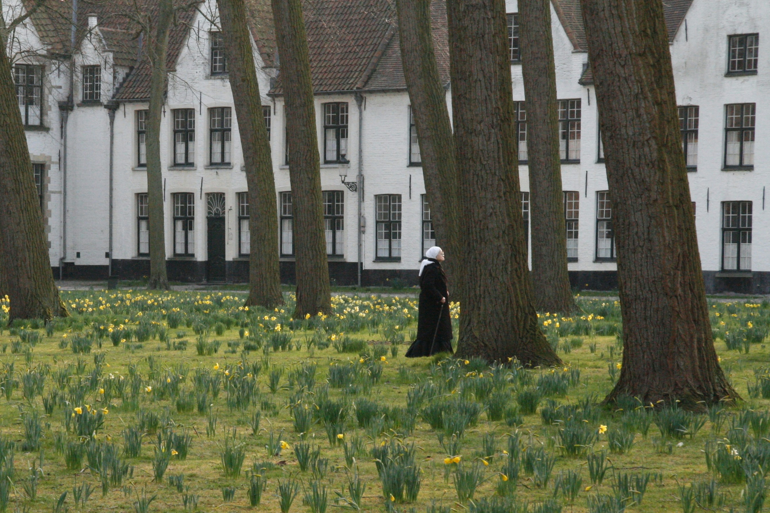 Free Unsplash photo from an vancoppenolle