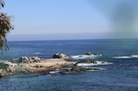 A scenic view of an Australian coastal property surrounded by nature.