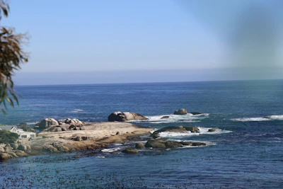 Investor reviewing property documents with a scenic ocean view in the background.