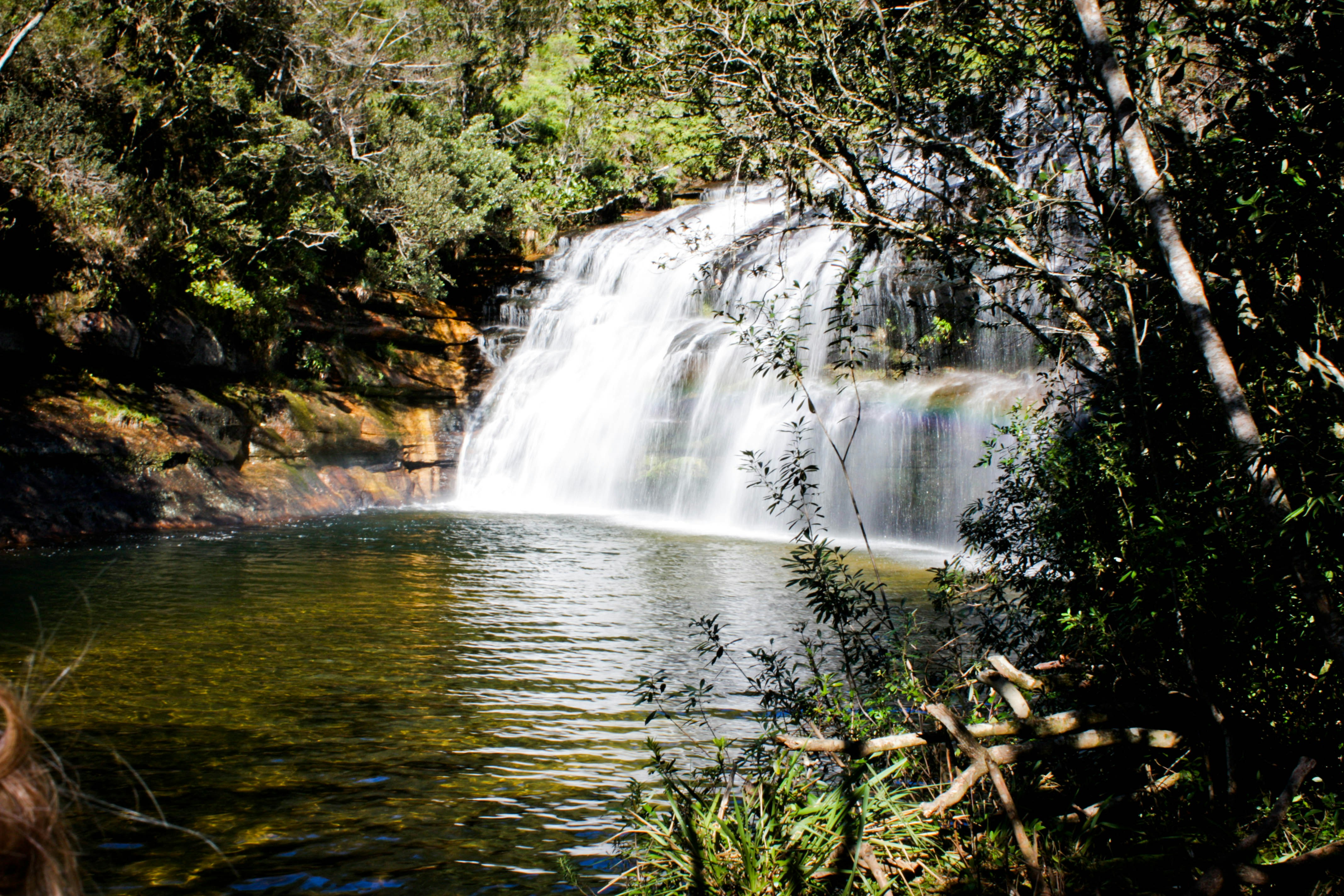 Free Unsplash photo from Eduardo Falcin