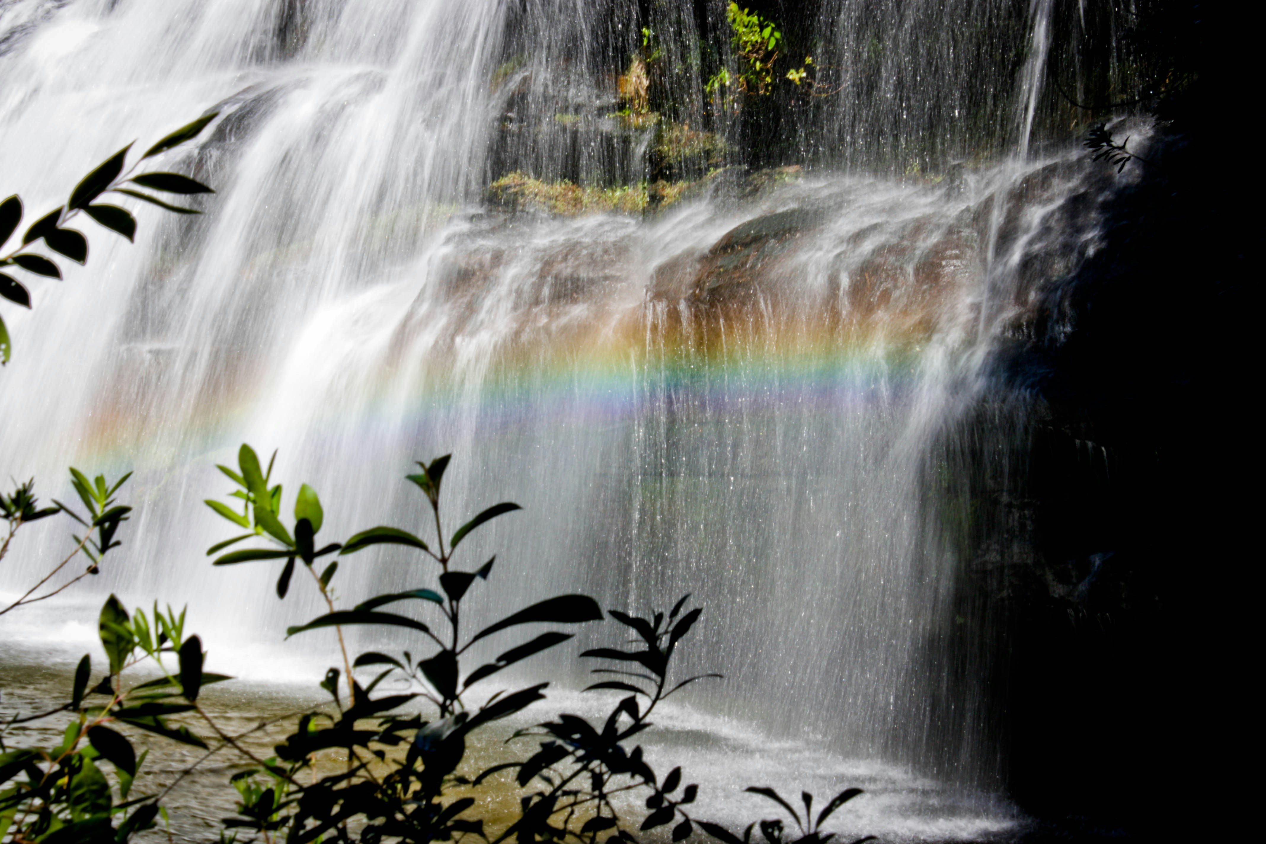 Free Unsplash photo from Eduardo Falcin