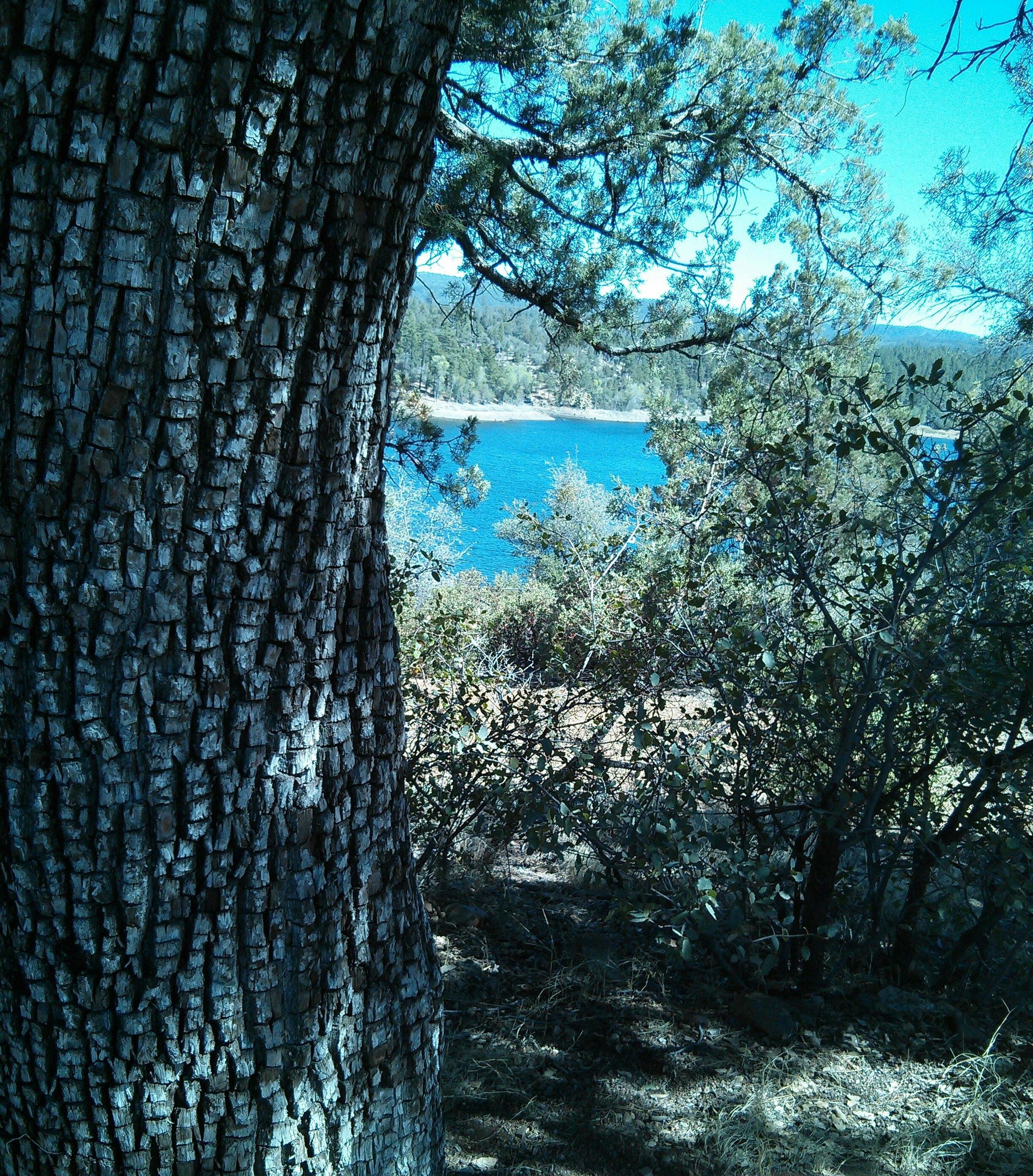 Free Unsplash photo from Melinda Howell