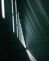 Contemporary residential corridor with refined lighting and sleek finishes in a dark luxury palette