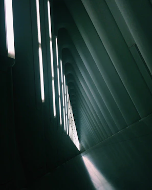 Contemporary residential corridor with refined lighting and sleek finishes in a dark luxury palette